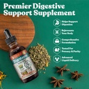 Rejuvica Health DigestaPro - Advanced Digest Bitters תוסף - משלוח נוזלי עבור Better Absorption - Gentian, Artichoke, Burdock, Chanca Piedra, ג'ינג'ר ועוד!