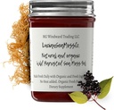 ד"ר Sebi בהשראת Alkaline Organic Fresh Elderberry ג'ינג'ר ים Mosss Gel - ויטמינים טבעיים חיוניים, מינרלים פלוס Antioxidants Wild Harvested from Saint לוסיה (8 oz).