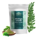Moringa Leaves אבקת Oleifera Shigru Great in Drinks and Smoothies 16 Ounce