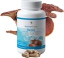 Mushroom Science Reishi Mushroom קפסולות, Super Power Full Spectrum Extracttrum Extract, Natural Mushroom for Adults, Hot Water Extracted Mushrooms, Health Support, Vegetarian, 400MG, 90 CT