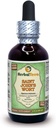 Saint John's Wort (Hypericum Perforatum) Glycerite, אורגני Dried Herb אלכוהול חינם לחלץ 2 oz