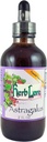 Herb Lore Astragalus Tincture - נוזל Astragalus Root Extracts - תמיכה במערכת החיסון - 4 Fl Oz