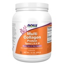 עכשיו מזונות תוספי מזון, Multi Collagen חלבונים סוגים I, II & III אבקת, העצם, משותף, בריאות העור, 16 oz (454 גרם)