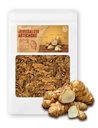 (אירו) Queen Roasted Jerusalem Artichoke Helianthus Tuberosus Rich Inulin Polyphenol Dietary המונחים: 돼지감자