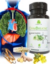 OMNIBREATHE - שיפור מהיר של בעיות נשימה על ידי NAC 600MG באופן מדעי פורמולה w. Quercetin / Mullein/Coq 10/Ginger/Sting Nettle/Bromelain, 3 פעמים w. Meal (10 ימים אספקה כדי Boost)