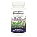 Host Defense MycoBotanicals Brain * קפסולות - תמיכה מוחית בתוספת מאנה של Lion, Reishi & Cordyceps Mushroom - Herbal Supplement for Memory & Focus Support - 60 קפסולות (30 משרתים)