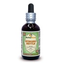 Herbal Terra LLC Sting Nettle (Urtica Dioica) Glycerite, אורגני Dried Leaves אלכוהול חינם נוזל לחלץ 2 oz