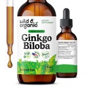 Wild & אורגני גינקו Biloba Tincture - Brain & Focus Support with Genekgo Leaf תוסף - טבעוני, סוכר ואלכוהול חינם Herbal Extract Tincture - 2 oz