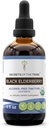 סודות של השבט Black Elderberry אלכוהול חינם Tincture (Glycerite) 680 מ"ג USDA אורגני Black Elderberry (Sambucus Nigra) Dried Berry (4 Fl Oz) Immune Support Supplement