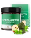 HerBAMAMA Sting Nettle Gummies - 7500 מ"ג Sting Nettle Root Extract for Urinary Tract Support for Women & Men - טבעוני, non-GMO Urtica Dioica - 60 Pectin-מבוסס Apple-Flavored Chews