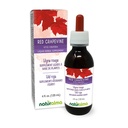 Naturalma Red Grapevine (Vitis vinifera) Leaf-Free Tincture - 4 fl oz Liquid Extracts - Herbal תוסף - טבעוני