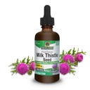 The Nature's answer Milk Thistle 2 Ounce Extract - אלכוהול חינם, Non GMO, Liver תומך תוסף עבור כולם - Liver Detox, Made in USA