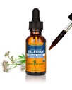 Herb Pharm אורגני ולריאן שורש לחלץ, אלכוהול חינם: שינה & מרגיע, להקליד Nighttime Sleep Support Supplement, Sugar-Free Herbal תוסף, 1 Oz