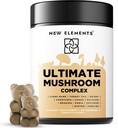 Mushroom Superstars - Mushroom תוסף חניכיים | Lion's Mane | טורקיה Tail | Reishi | Reishi | Cordyceps | Chaga | Maitake | Meshima | Poria | Shitake | Oyster