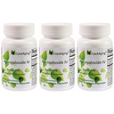 Scracking Super-Absorption Astragaloside IV 98% תוספי Anti-Aging לתמיכה ב- Immune למבוגרים 50 מ"ג/Cap 90 Caps בשלושה בקבוקים