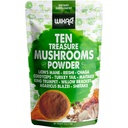 Wixar Mushroom אבקת - Ten Treasure Mushrooms Extraction for Coffee & Smoothies - Lions Mane, טורקיה Tail, Reishi, Chaga, Shiitake, Cordyceps, Complex - 4oz Mushroom תוסף