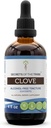 סודות של השבט Clove Tincture אלכוהול חינם לחלץ, Clove (Syzygium Aromaticum) Dried Flower Buds (4 FL OZ)