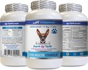 טיפול עיניים לכלבים - כלבים בריאות פורמולה - Advanced Eye Support Complex - VETS מומלץ, כלב קריין, תוסף ראייה עין לכלבים, תוספת לטיפול עיניים, ויטמין תמיכה עיניים 1Bot 60Tabs
