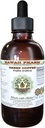 קפה ירוק ללא אלכוהול, קפה ירוק (Coffeaערביתa) Dried Bean Glycerite הוואי Pharm טבעי צמחי