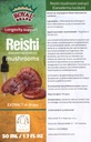 Reishi Mushroom תוסף / שלנו Reishi Mushroom מקדם Longevity / Reishi Mushroom Tincture - 50 מ"ל / 1.7 Fl Oz