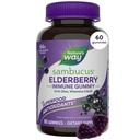 הדרך של הטבע Sambucus Elderberry Immune לתמוך חניכיים לילדים ומבוגרים * עם Black Elderberry לחלץ, ויטמין C, ויטמין D3, ו Zinc, 60 חניכיים (Packaging May Vary)