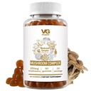 VITA GLOBE Mushroom חניכיים - 250 מ"ג עם Reishi, Lion's Mane, Chaga, Cordyceps & More | Daily Supplement for Immune Defense, Energy & Brain function Support - 60 Count (Pack of 1)