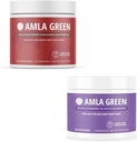 Amla אבקה & Green Tea Superfood תוספת, תמיכה אנטי-חמצן, מיוצר עם Hibiscus (90 מנות) & Elderberries (30 מנות), אורגני, טבעוני