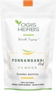 YOGIS HerBS Ponnanganni Leaf (Sessile joyweed) - תוספי בריאות Holistic לעיניים, Skin, Bone, ו- Immune, Natural Detox Aid -100 GMS (3.5 oz)
