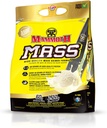 תוספי תזונה בין-Active Nutrition Mamoth Mass, 5 lbs, Vanilla FID15319
