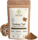 ROOTED אקטיבי של טורקיה Tail Mushroom אבקת לחלץ, USDA & האיחוד האירופי מוסמך אורגני: 35% Beta Glucans - מעבדה מאומתת | Gut Health, Liver, Immunity Support (2.11 Ounce)