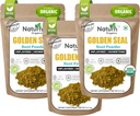 אבקת שורש טבעיים - 10.5 oz, 300 משרתות *USDA אורגני | מעבדה נבדקה * טהור אבקת שורש טבעי שמן צמחי