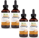 Maxx Herb Astragalus Root Extraction - Max Power Tincture Absorbs Better Than כמוסות או אבקה, עבור תמיכה חיסונית וקלילות נפשית - 4 בקבוקים, 4 Oz כל אחד (240 משרתים)