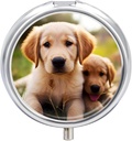 Pill Box 3 השוואת גלולות עגולות מארגנת יום יומית Small Pill Case for Travel Sweet Golden Retriever Puppy Metal Pill Container Portable Medicine מארגנת עבור גלולות שמן שמן דגים