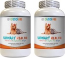 כלב Bladder Pills - כלב Urinary Health Formula - מסייע עם Incontinence and Bladder בעיות - Immune Boost - כלב Urinary Health - 2 בקבוקים (180 טיפולים)