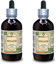 Psyllium (Plantago Ovata) Tincture, אורגני Dried Seed Extractd Extractd Extractd (שםBrand: HerbalTerra, המיוצר גאה בארה"ב) 2x4 fl.oz (2x120 מ"ל)