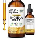 Wild & אורגני Rhodiola Rosea Tincture - תמיכה Mood - מרגיע Rhodiola תוסף - Root Extracts - טבעוני, סוכר ואלכוהול חינם - 2 fl oz