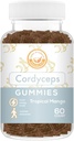 Cordyceps Mushroom Gummies - May Support Energy, Endurance ו- Stamina - טרופי מנגו פלפור - טבעוני, non-GMO, Gluten-Free, Gelatin חינם - 60 Count Count