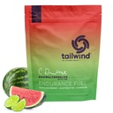 Tailwind Nutrition Endurance דלק, Carbohydrate & Electrolyte Sports Drink אבקת, Gluten-Free, טבעוני, Dauwatermelon, 30 משרתים