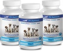 כלב Incontinence נקבה - DOG URINARY TRA SUPPORT - NATURAL CRANBERRY SOLUTION - BLADDER HEALTH - VET RECOMMENDED - אבקת בריאות עגומה לכלבים - 3 בקבוק (270 טיפולים)