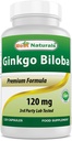 Best Naturals גינקו בילובה 120 מ"ג 120 קפסולות