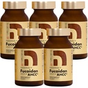 Fucoidan מופעל עם AHCC ® Brown Seaweed Immunity תוסף עם High Purity Organic Mekabu Mozuku Agaricus 5 בקבוקים - 800 קפסולות ירקות המיוצר ביפן
