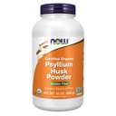 עכשיו תוספי מזון, אבקת Psyllium Husk, אורגני, Non-GMO פרויקט מאומת, Soluble סיבים, 12-Ouncece