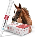 יגואר Animal Health Foal - Equine Supplement Paste for the Support of Fit hydrotion & Bowel Health - מוצרים המבוססים על צמחים עבור pre-weaned Foals (30 מ"ל)