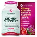 PurePremium Kidney תמיכה תוסף - Kidney ניקויse Detox & תיקון עם קריין לחלץ ו Astragalus - 21-in-1 Complex תומך במגם רגיל, Urinary Tract & Kidneys בריאות - 60 יום אספקת יום אספקה