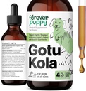 Forever Puppy Gotu Kola Drops for Dogs - Gotu Kola Extracta Extract and Centella Asiatica for Brain Support - תוספי תזונה למוח לכלבים של All Breeds & Sizes - 4 oz