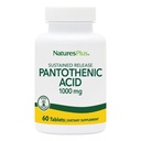 NaturesPlus Pantothenic Acid, Sustained לשחרר - 1000 מ"ג, 60 טבליות - High-Potency ויטמין B5 תוסף - Vegetarian, Gluten Free - 60 משרתים