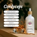 Rainbo - Cordyceps Mushroom Tincture - אלכוהול חינם - כפול לחלץ תוספת - תמיכה כספית, אנרגיה, Cordyceps תוספת, טבעוני, לא GMO, 3.4 oz