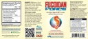 FUCOIDAN FORCE - 24 Bottles Pack