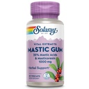 SOLA Mastic Gum לחלץ 500 מ"ג 45 הרוזן