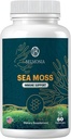 Sea Mossss Gummies - Immuneחוזק & Skin Health, אירי אורגני Mosss Gummy Bears, 60 Count, טבעוני, Superfood Chewable תוסף עבור Endurance & Health